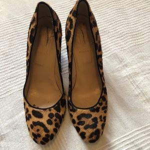 Jcrew collection calf hair leopard wedges
